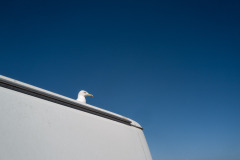 20220807_Leica_L1020358