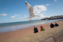 20230314_Leica_L1030113