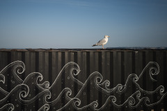 20230909_Leica_L1000774