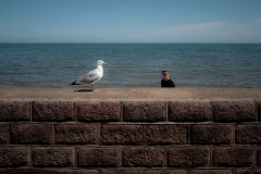 20240728_Leica_L1005661