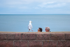20180819_Leica_L1005666