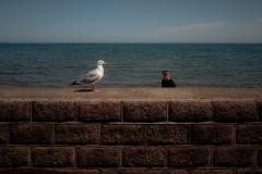 20240728_Leica_L1005661